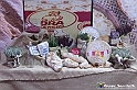 VBS_2895 - Cheese 2023 - Bra
